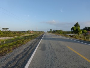 こんな道を走ります。