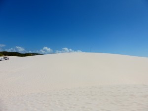 P1000235